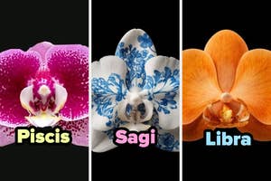 Tres orquídeas con etiquetas de signos zodiacales: Piscis, Sagitario y Libra. Cada orquídea tiene un diseño distintivo