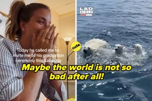 Left: Woman surprised with hands over mouth; text about a graduation invitation. Right: Three polar bears swimming. Caption: "Maybe the world is not all bad after all!"