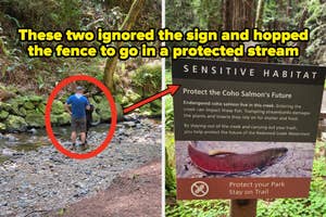 Two people wading in a protected stream despite a nearby sign warning against entering to protect the sensitive habitat of the Coho salmon. Caption: "These two ignored the sign and hopped the fence to go in a protected stream"